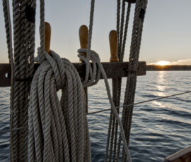 Taken from a sailing boat, three pegs with ropes around two of them. Additional ropes go up and down. The sun sets above some trees on the coast.